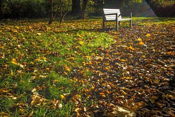 Park bench in autumn — Stock Photo, Image