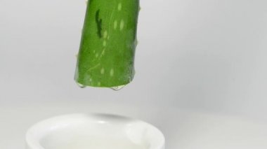 aloe vera suyu