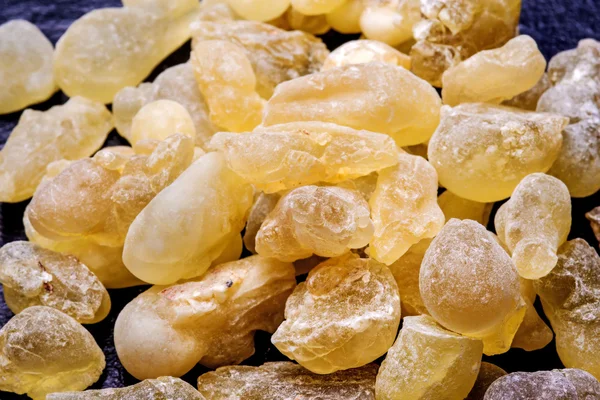 Olibano, boswellia serrata — Foto Stock