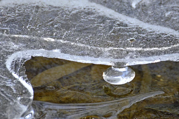 Icicle at a creek — Stock Photo, Image