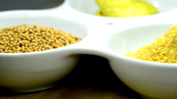 芥末粉和种子 — 图库视频影像