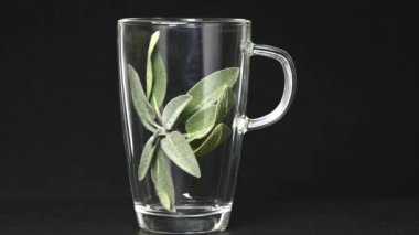 Adaçayı çay hazırlama