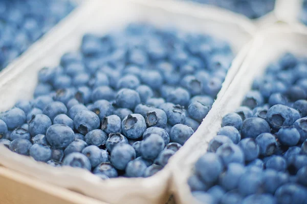 Blueberry — Stock Photo, Image