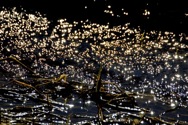 Acqua con riflessi solari — Foto Stock