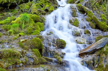 Vahşi creek bir tepeden aşağı düşüyor
