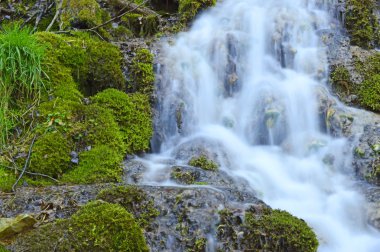 Vahşi creek bir tepeden aşağı düşüyor