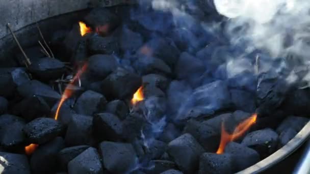 Churrasco com queima, carvão para fumar — Vídeo de Stock