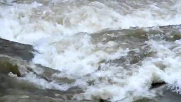 Rivier met hoog water en heron — Stockvideo