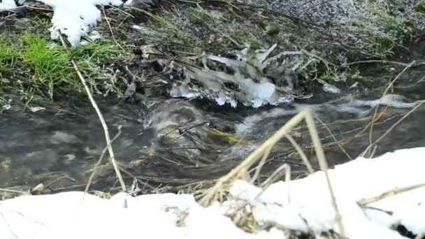 Pequeño arroyo con nieve — Vídeos de Stock