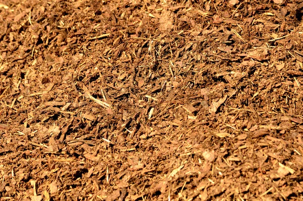 Bark mulch — Stock Photo, Image