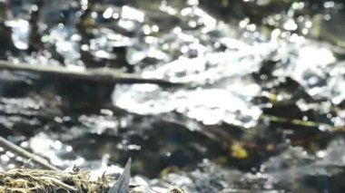 Kar ile küçük dere