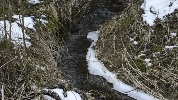 Pequeno riacho com neve e gelo — Vídeo de Stock