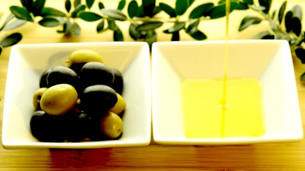 Olio d'oliva — Video Stock