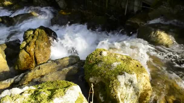 Små vattenfall av en bäck — Stockvideo