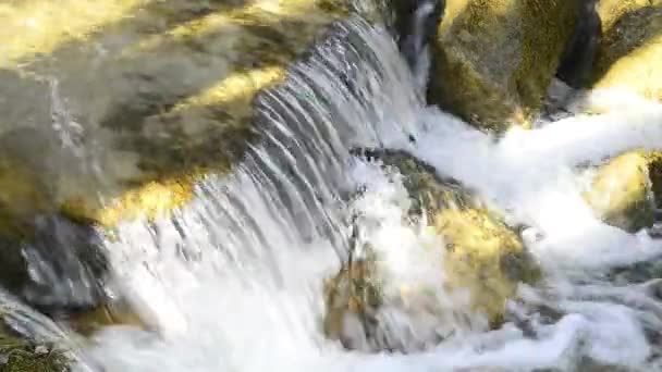 Невеликий водоспад — стокове відео