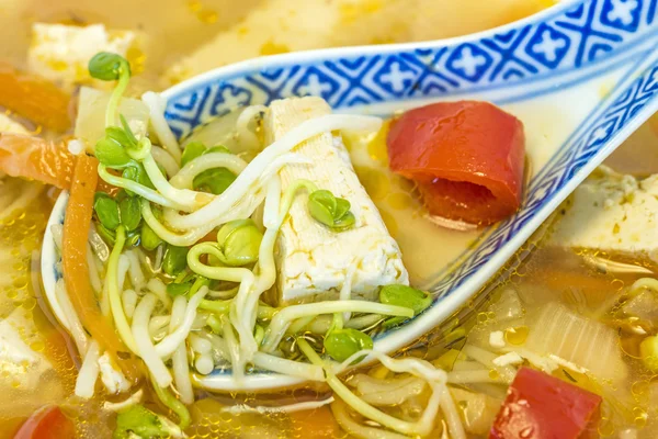 Sopa china con tofu — Foto de Stock