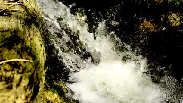 Pequena cachoeira — Vídeo de Stock