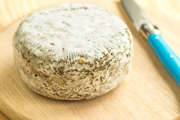 Tomette des Alpes, queso de Francia —  Fotos de Stock