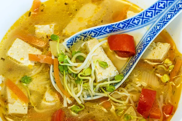 Sopa china con tofu — Foto de Stock