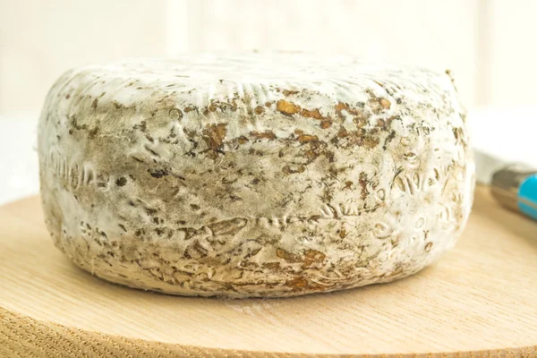 Tomette des Alpes, cheese of France — Stock Photo, Image