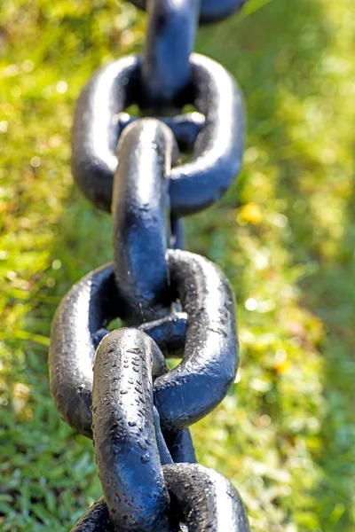 Anchor chain in green grass — Stock Photo, Image