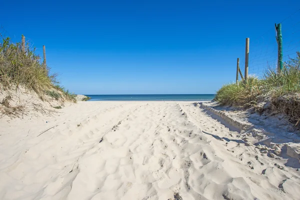 Morze Bałtyckie, plaża — Zdjęcie stockowe