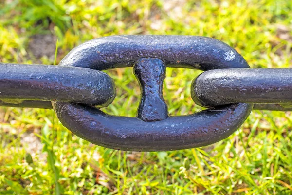 Anchor chain in green grass — Stock Photo, Image
