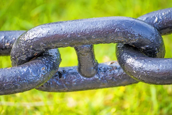 Anchor chain in green grass — Stock Photo, Image