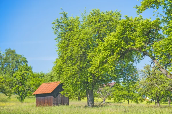 Ladugården på en äng — Stockfoto