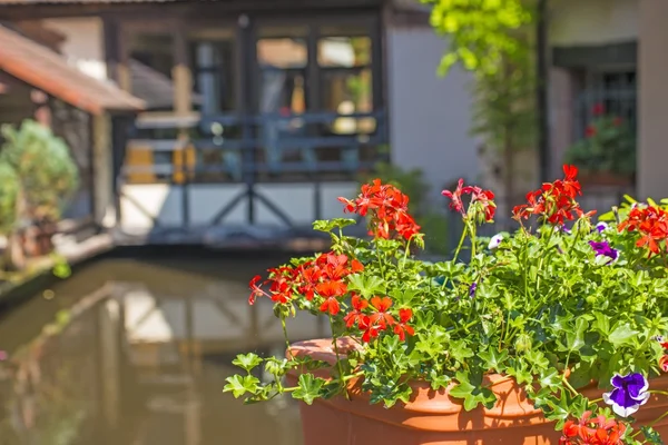 Wissembourg, Alsacia, Francia — Foto de Stock