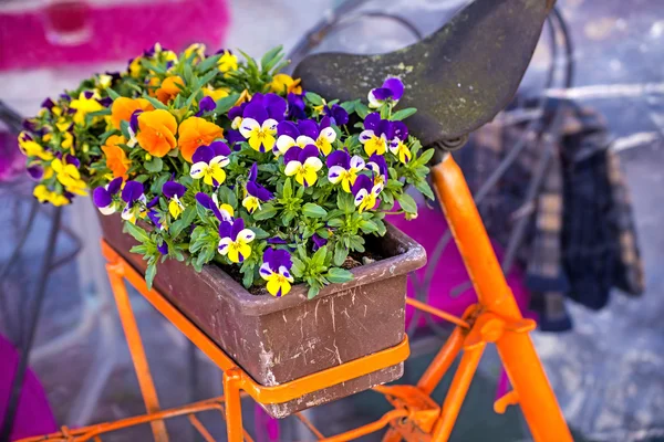 Bicycle with flowers — Stock Photo, Image