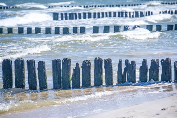 Groins in the Baltic Sea — Stock Photo, Image