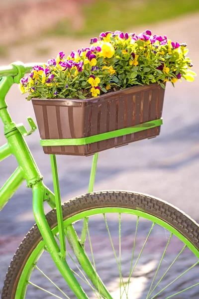 Vélo avec des fleurs — Photo