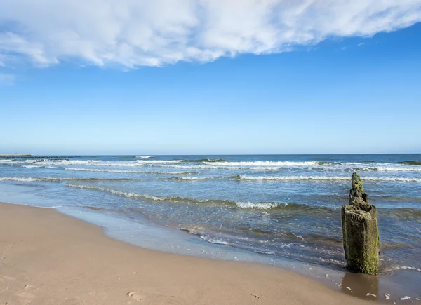 Playa del Mar Báltico, Polonia con las ingles — Foto de Stock