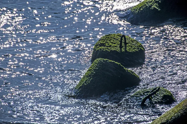 Rompeolas durante la salida del sol — Foto de Stock