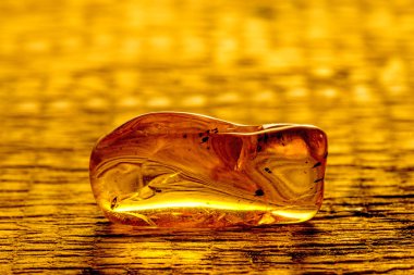 Amber kapanımları ile