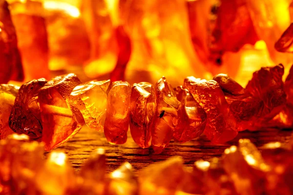 Amber bracelet — Stock Photo, Image