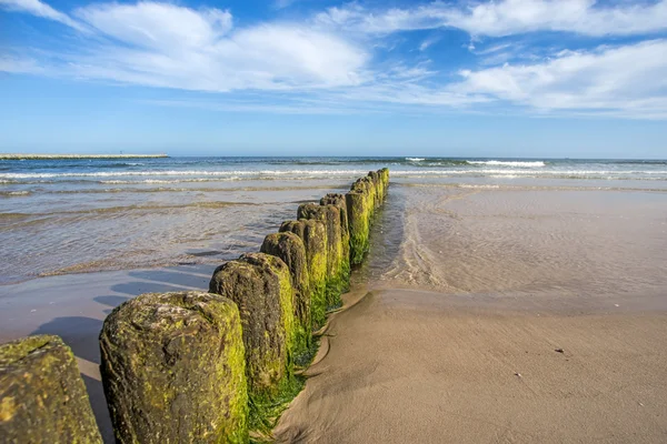 Leisten in der Ostsee — Stockfoto