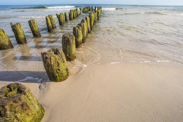 Leisten in der Ostsee — Stockfoto