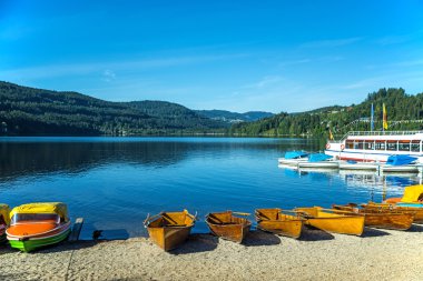 Göl titisee, black forest Almanya