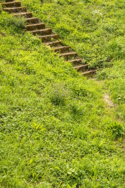 eski yeşil merdivenlerde