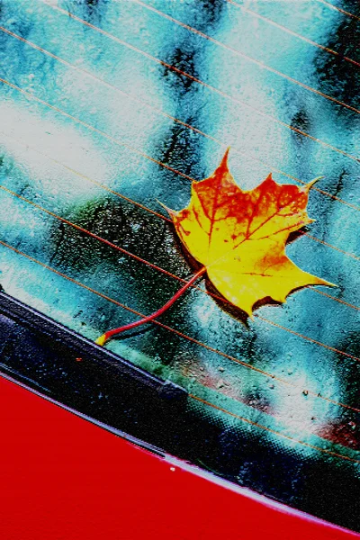 autumnal painted leaf on car window