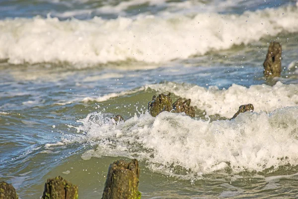 Βαλτική θάλασσα με groyens και surf — Φωτογραφία Αρχείου