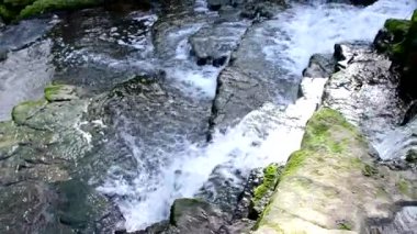 Almanya 'da bir ormanda şelale, Wolfschlugen köyünün yakınlarında Foellbach