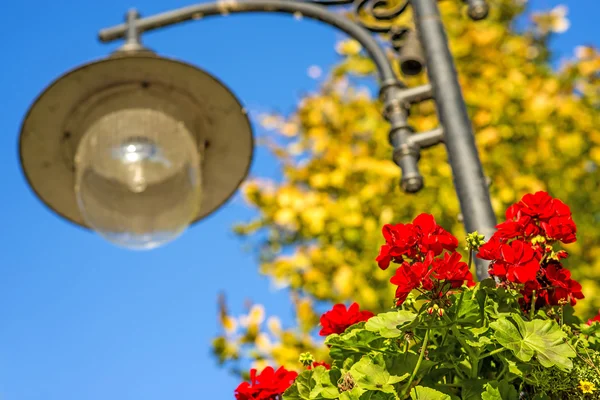 Lanterna di strada con fiori rossi — Foto Stock