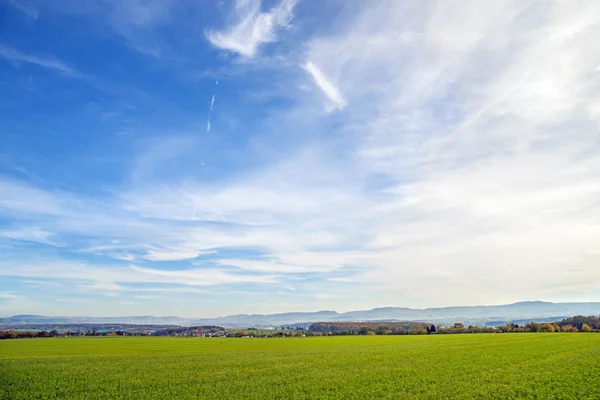 Field of green manure — Stock Photo, Image