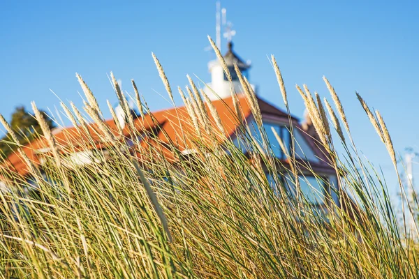 Herbe de plage avec vieux phare — Photo