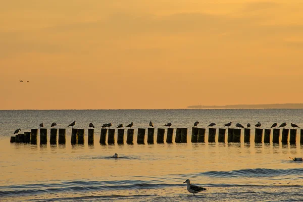 Salida del sol sobre el mar Báltico con arenas — Foto de Stock