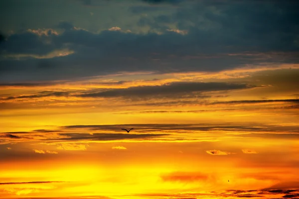 Cielo durante la salida del sol — Foto de Stock