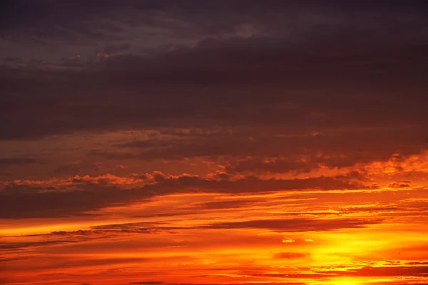 Небо на восходе солнца — стоковое фото